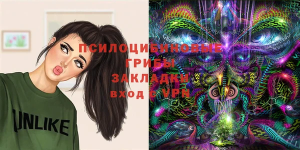 дмт Армянск