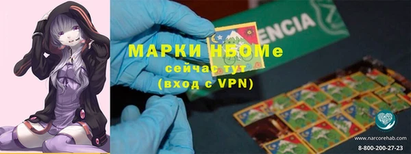 индика Аркадак