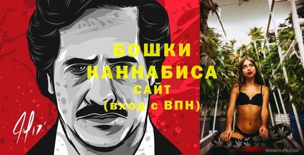 ГАЛЛЮЦИНОГЕННЫЕ ГРИБЫ Арсеньев