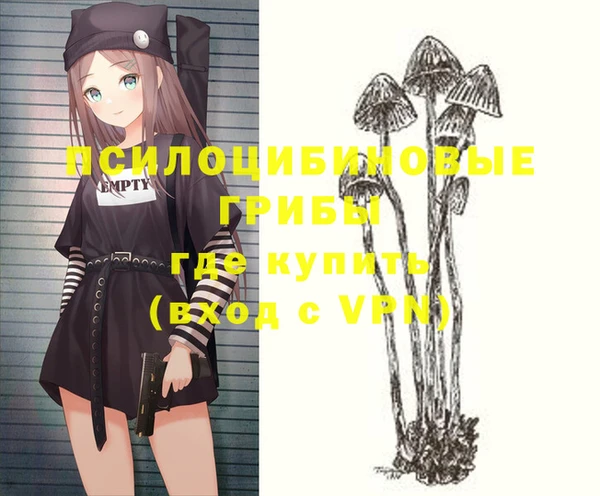 ГАЛЛЮЦИНОГЕННЫЕ ГРИБЫ Арсеньев