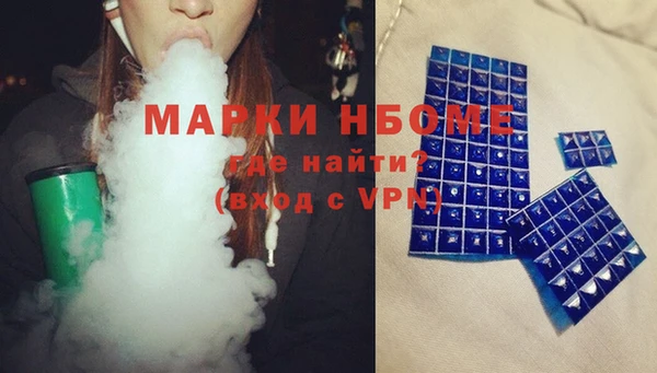 индика Аркадак