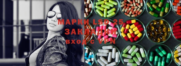 ГАЛЛЮЦИНОГЕННЫЕ ГРИБЫ Арсеньев