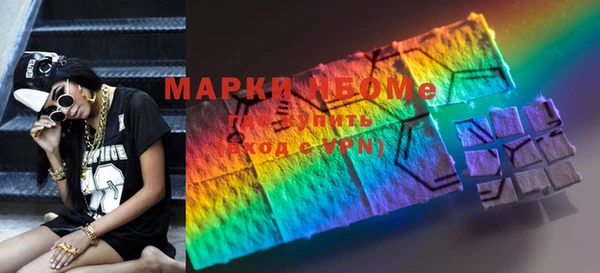 индика Аркадак