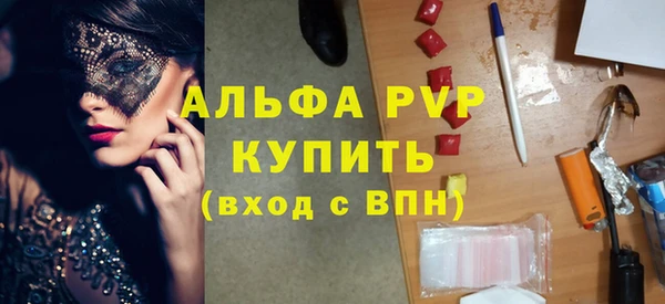 индика Аркадак