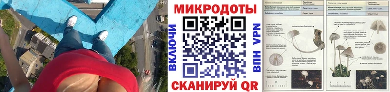 Псилоцибиновые грибы Magic Shrooms  магазин продажи   ОМГ ОМГ ONION  Салаир 